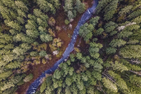 Aerial view of Frenchie Falls river park, Oregon, United States. - AAEF15291