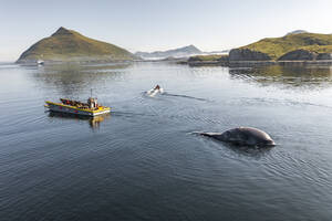 Luftaufnahme eines Bootes bei der Rettung eines Wals, Unalaska, Alaska, Vereinigte Staaten. - AAEF15327