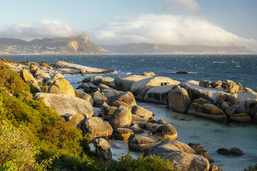 Boulders Beach, Cape Town, Western Cape, South Africa, Africa - RHPLF22654