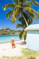 Tourist in orangefarbenem Kleid am palmengesäumten Strand, Antigua, Leeward Islands, Westindien, Karibik, Mittelamerika - RHPLF22686