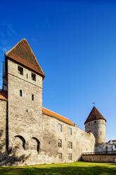 Alte Stadtmauern, UNESCO-Weltkulturerbe, Tallinn, Estland, Europa - RHPLF22759