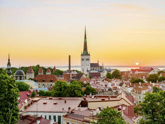 Blick über die Altstadt auf die St. Olafs-Kirche bei Sonnenaufgang, UNESCO-Weltkulturerbe, Tallinn, Estland, Europa - RHPLF22766