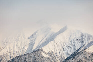 Aussicht auf schneebedeckte Berge an einem sonnigen Tag - OMIF01038