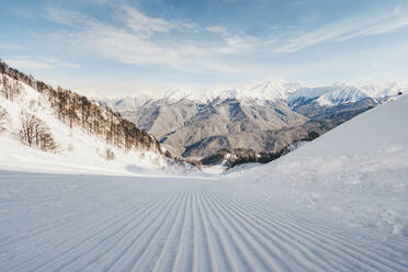 Schneebedeckte Landschaft mit Skispuren - OMIF01041