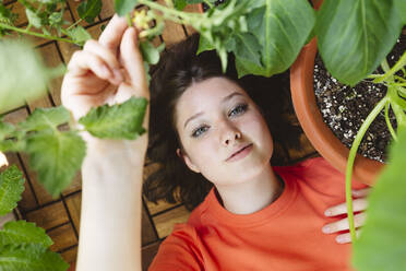 Teenage girl lying on balcony floor by tomato plant - IHF01123