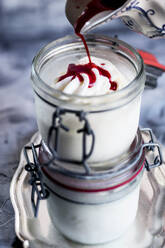 Himbeer-Topping auf selbstgemachtem Frozen Yogurt - SBDF04538