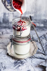 Himbeer-Topping auf selbstgemachtem Frozen Yogurt - SBDF04539