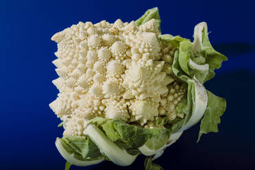 Weißer Romanesco-Brokkoli vor blauem Hintergrund - ACTF00238