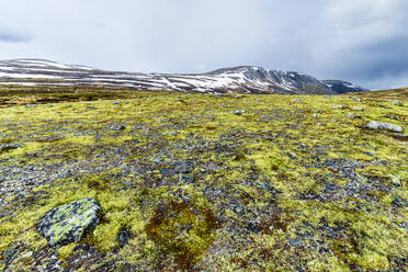 Norwegen, Innlandet, Landschaft des Nationalparks Dovrefjell-Sunndalsfjella - STSF03409