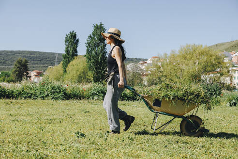 Farm worker wearing hat pulling wheelbarrow in field - MRRF02298