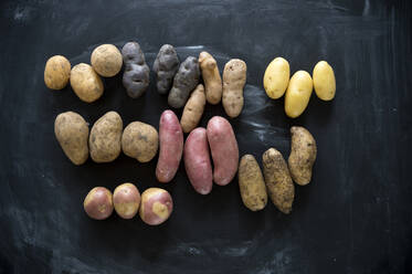 Studio shot of different varieties of potatoes flat laid against black background - ASF06842