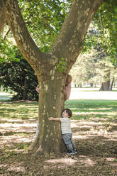 Junge und Großvater umarmen Baum im Park - FLMF00837