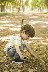 Cute boy playing with stick in park - FLMF00839