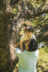 Glücklicher Vater mit Sohn, der auf einem Baum im Park spielt - FLMF00843