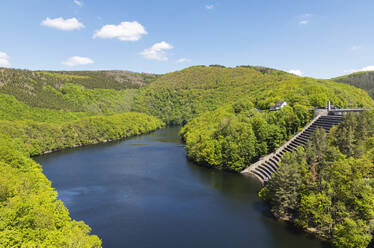 Steps amidst green plants by lake, Eifel National Park, Germany - GWF07530