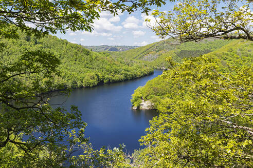 Obersee inmitten von grünen Hügeln im Nationalpark Eifel, Deutschland - GWF07531