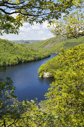 Obersee inmitten von grünen Hügeln an einem sonnigen Tag im Nationalpark Eifel, Deutschland - GWF07532