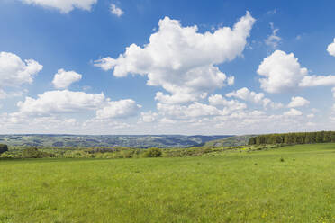 Idyllische grüne Landschaft unter bewölktem Himmel, Nationalpark Eifel, Deutschland - GWF07537