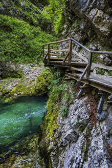 Slowenien, Höhenweg in der Vintgar-Schlucht mit dem Fluss Radovna im Hintergrund - ABOF00796