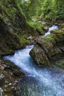 Slowenien, der Fluss Radovna fließt durch die Vintgar-Schlucht im Triglav-Nationalpark - ABOF00797