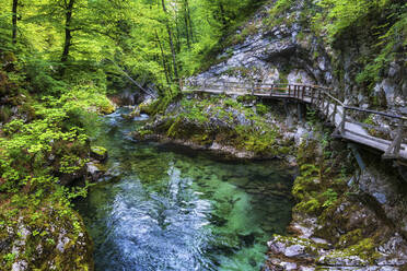 Slowenien, der Fluss Radovna fließt durch die Vintgar-Schlucht im Triglav-Nationalpark - ABOF00798