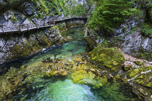 Slowenien, der Fluss Radovna fließt durch die Vintgar-Schlucht im Triglav-Nationalpark - ABOF00800