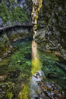 Slowenien, der Fluss Radovna fließt durch die Vintgar-Schlucht im Triglav-Nationalpark - ABOF00801