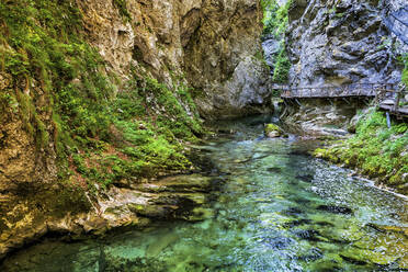 Slowenien, der Fluss Radovna fließt durch die Vintgar-Schlucht im Triglav-Nationalpark - ABOF00802