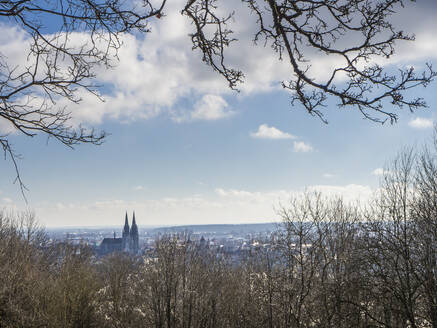 Deutschland, Bayern, Regensburg, Wolken über dem Regensburger Dom vom Waldrand aus gesehen - HUSF00273