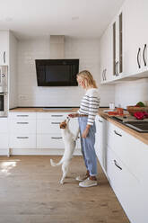 Junge Frau füttert den Hund in der häuslichen Küche - EBBF05876