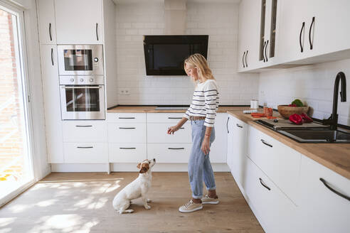 Frau füttert niedlichen Hund in häuslicher Küche - EBBF05878