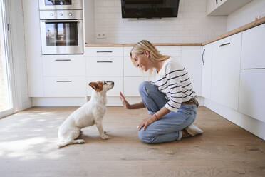 Lächelnde Frau gibt dem Hund in der Küche zu Hause die Hand - EBBF05879
