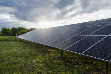 Solar panels on field at Power Station - OSF00667