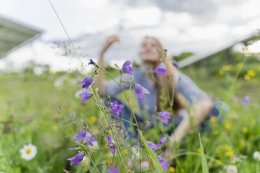 Frische Blumen auf einem Feld mit einer sitzenden Frau im Hintergrund - OSF00675