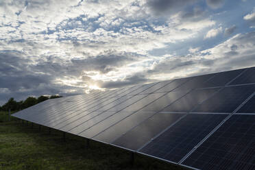 Solar panels on field at sunset - OSF00681