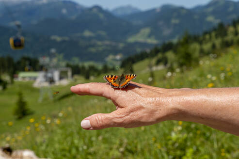Schmetterling auf der Hand einer älteren Frau mit Landschaft im Hintergrund - FRF00962