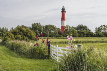 Deutschland, Schleswig-Holstein, Pellworm, Blühende Blumen vor rustikalem Tor mit Pellwormer Leuchtturm im Hintergrund - KEBF02368