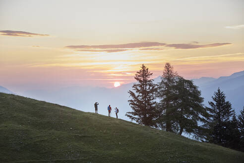 Wanderer stehen auf einem Berg zwischen Bäumen, Mutters, Tirol, Österreich - CVF02156