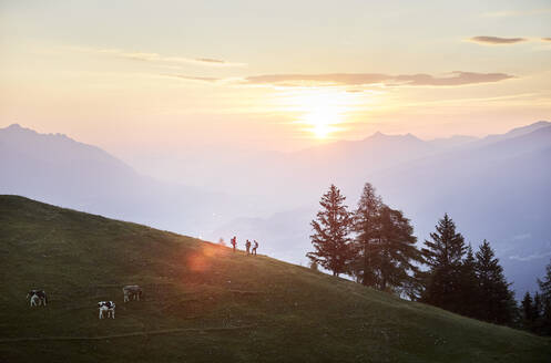 Wanderer und Vieh auf einem Berg bei Sonnenaufgang, Mutters, Tirol, Österreich - CVF02157