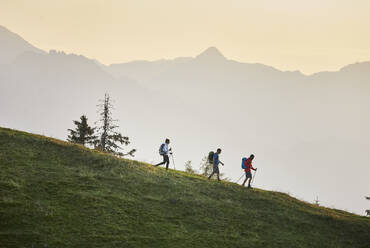 Hikers with hiking poles descending mountain, Mutters, Tyrol, Austria - CVF02159