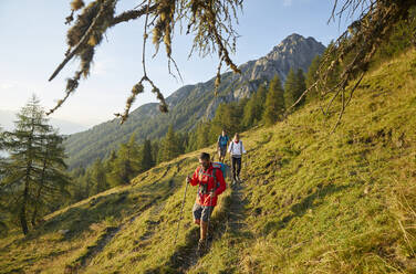 Wanderer mit Stöcken beim Wandern am Berg, Mutters, Tirol, Österreich - CVF02165