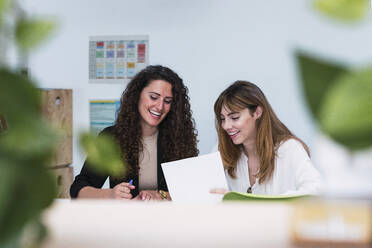 Happy businesswomen holding document at desk in office - PNAF04438