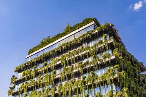Deutschland, Baden-Württemberg, Stuttgart, Bürogebäude mit grünen Schlingpflanzen - WDF07009