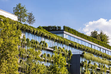 Germany, Baden-Wurttemberg, Stuttgart, Office building covered in green creeping plants - WDF07010