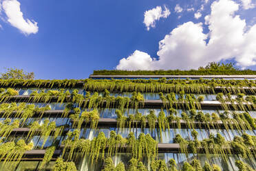 Germany, Baden-Wurttemberg, Stuttgart, Office building covered in green creeping plants - WDF07013