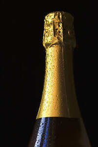 Studioaufnahme einer gekühlten Flasche Champagner - JTF02146