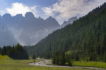 Landschaft mit Bäumen und Bergkette im Park Pale di San Martino, Trentino, Italien - LOMF01343
