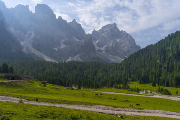 Landschaft mit Bergkette im Hintergrund im Park Pale di San Martino, Trentino, Italien - LOMF01346