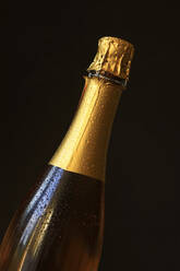 Studioaufnahme einer gekühlten Flasche Champagner - JTF02152