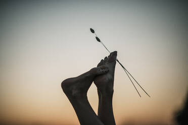 Feet of woman with plants between toes on sunset - MJRF00791